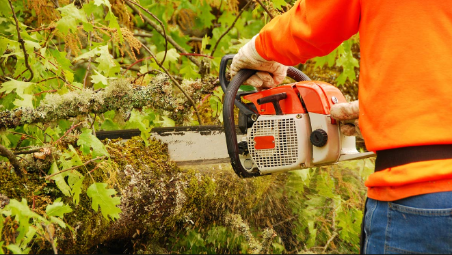 TreeSafe Environmental Services