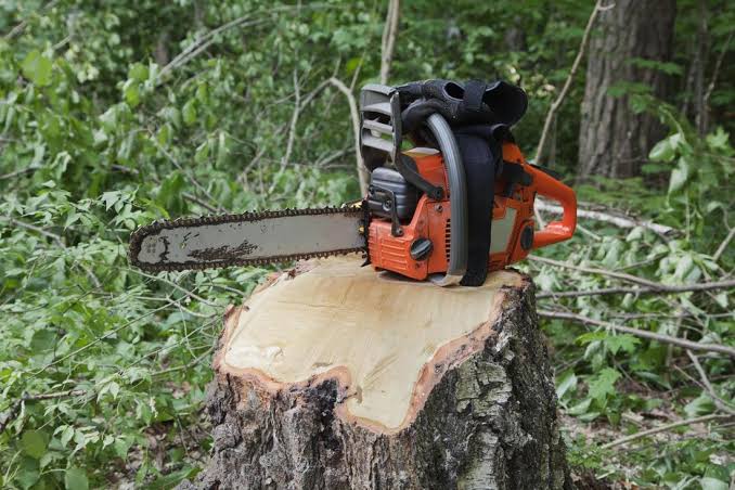 stump grinding gold coast