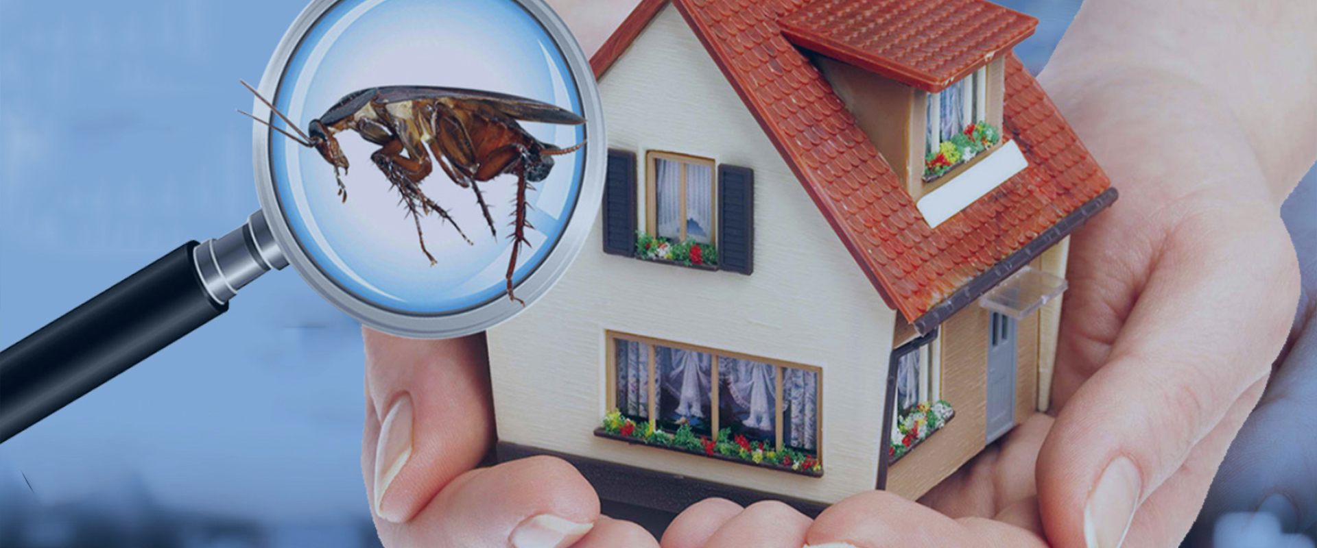 pest services gold coast