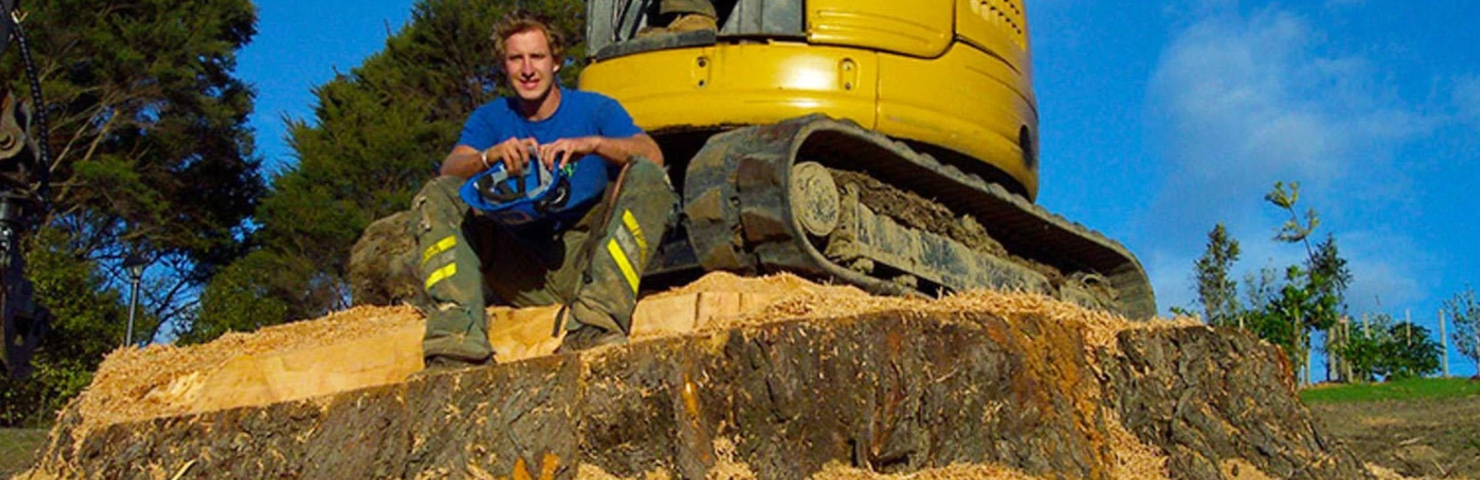 Tree Removal Auckland