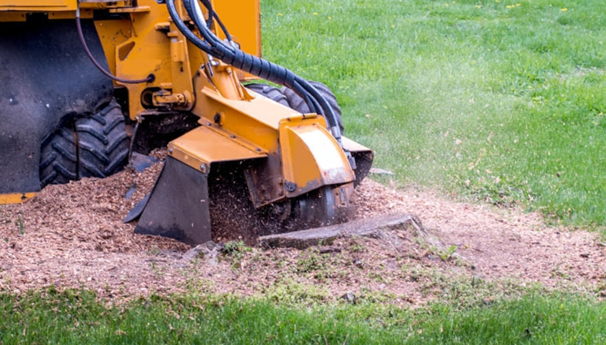gold coast stump grinding