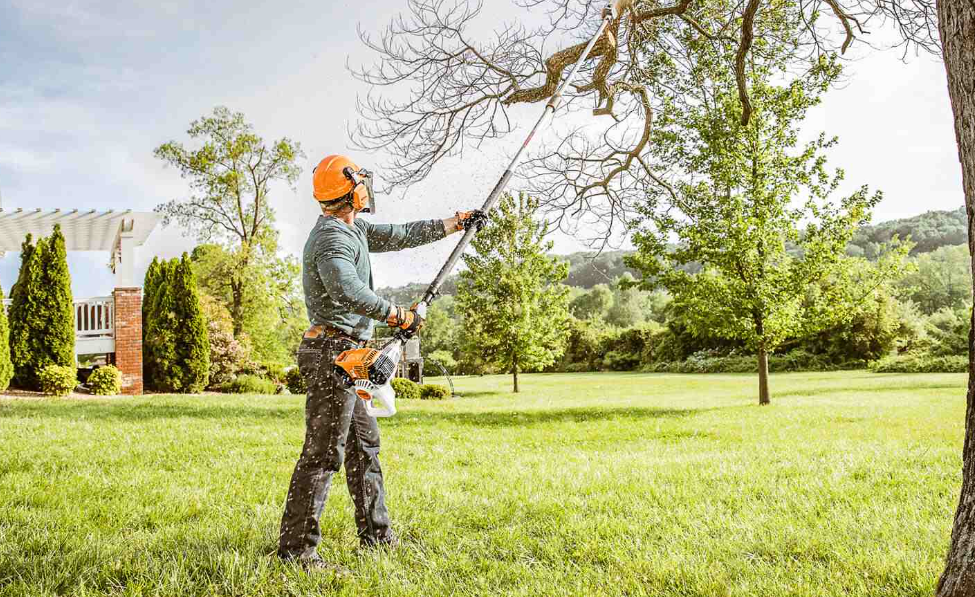 tree trimming on the North Shore