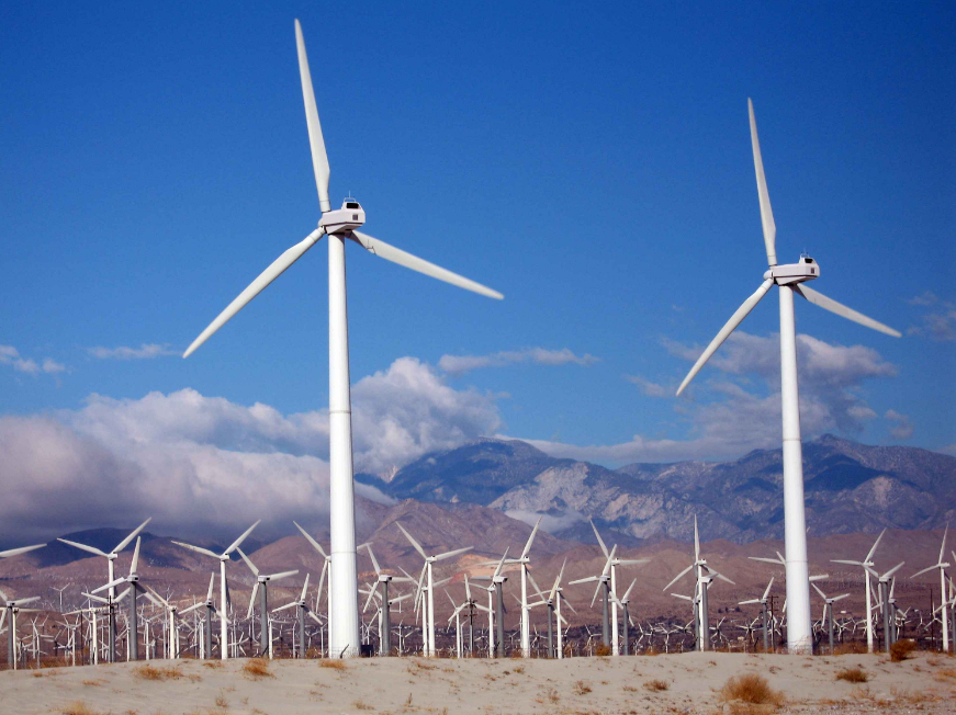 Offset Revegetation For Wind Farm in Brisbane