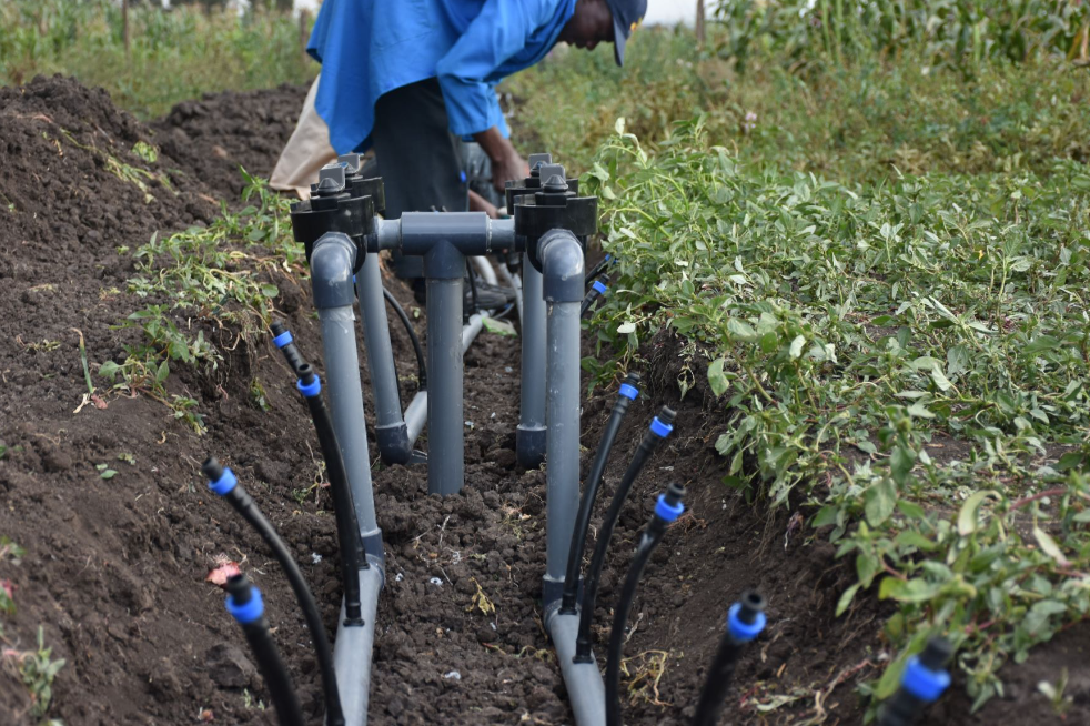 irrigation installation in Brisbane