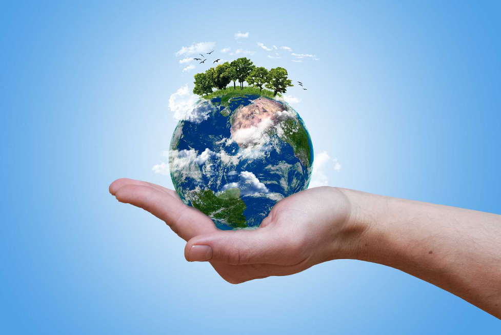 land management