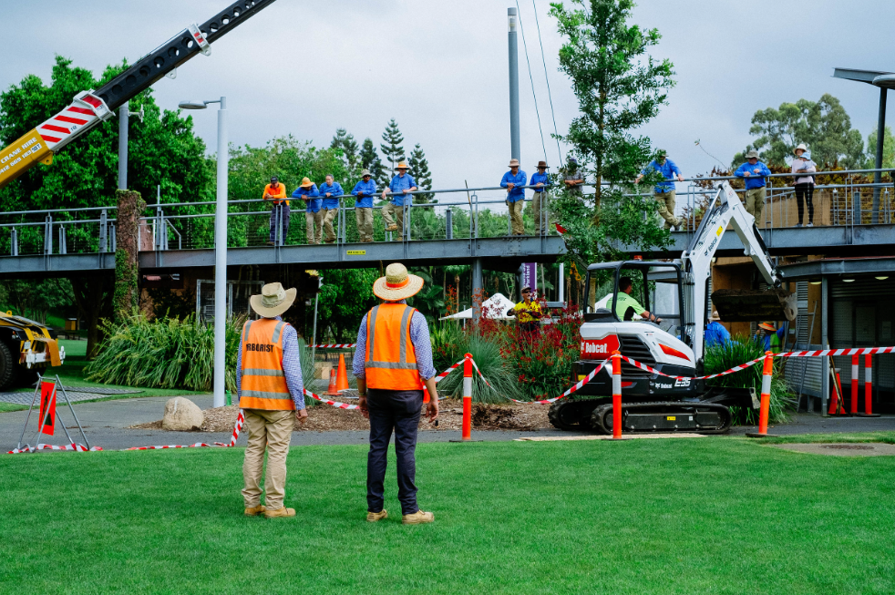 level 5 arborist